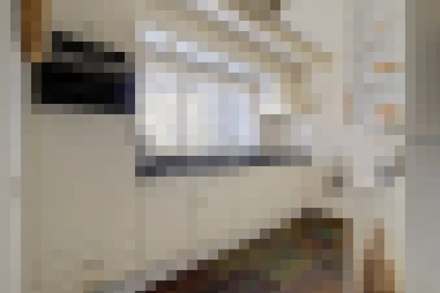 Oeverkamp 7 Bemmel thumbnail 13