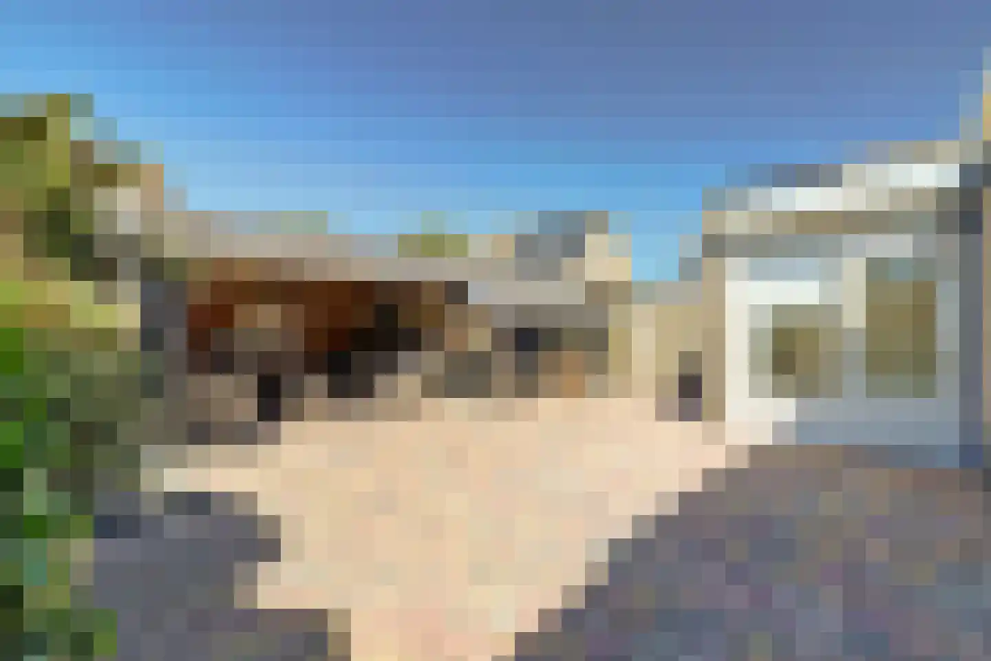 Oeverkamp 7 Bemmel thumbnail 24