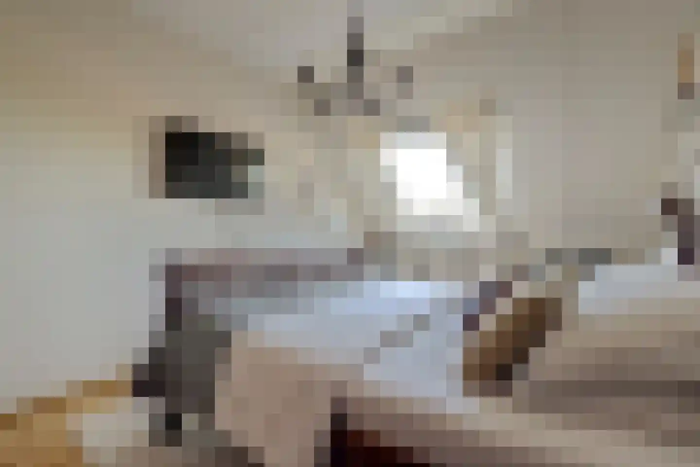 Oeverkamp 7 Bemmel thumbnail 30