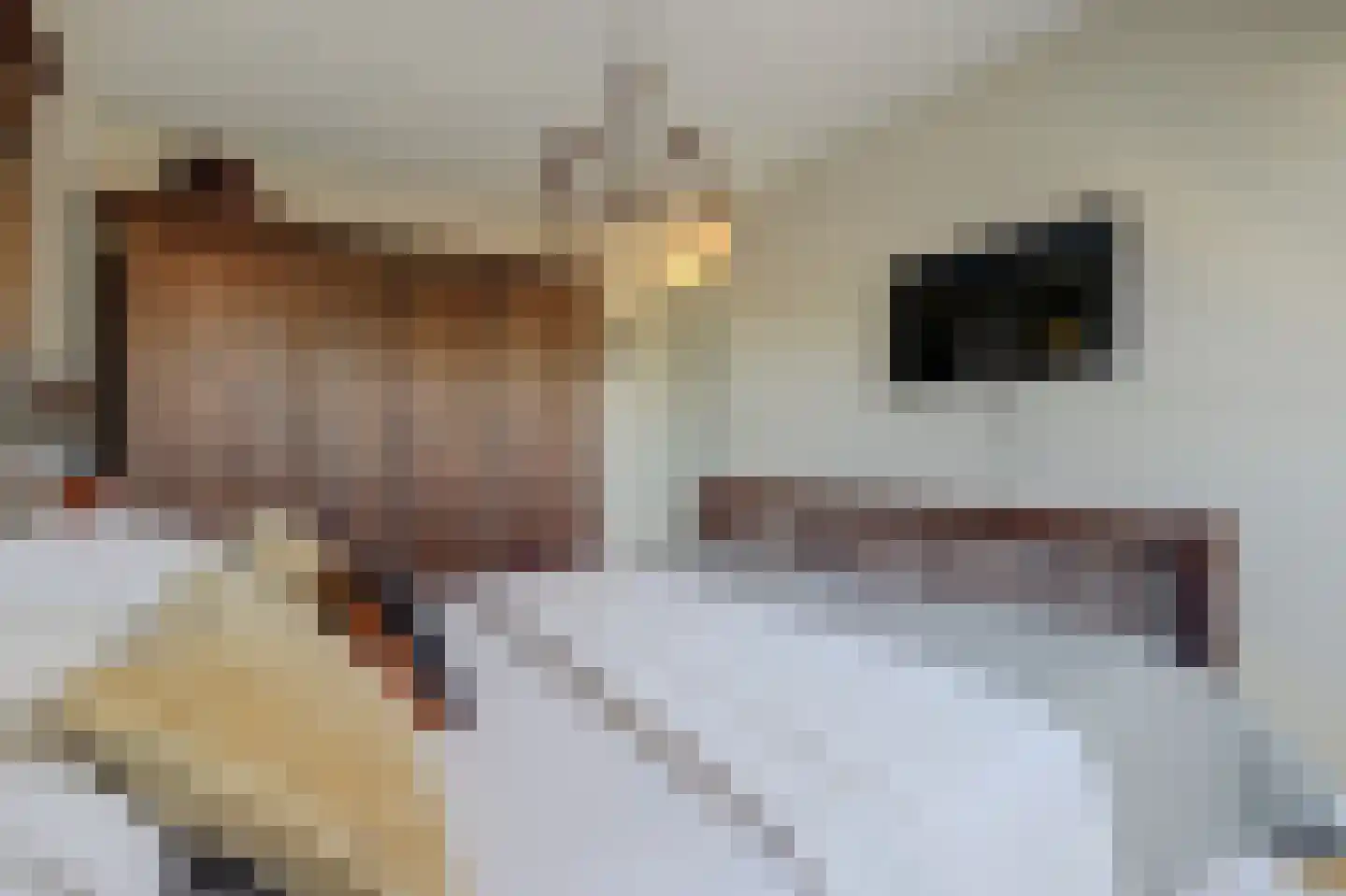 Oeverkamp 7 Bemmel thumbnail 31