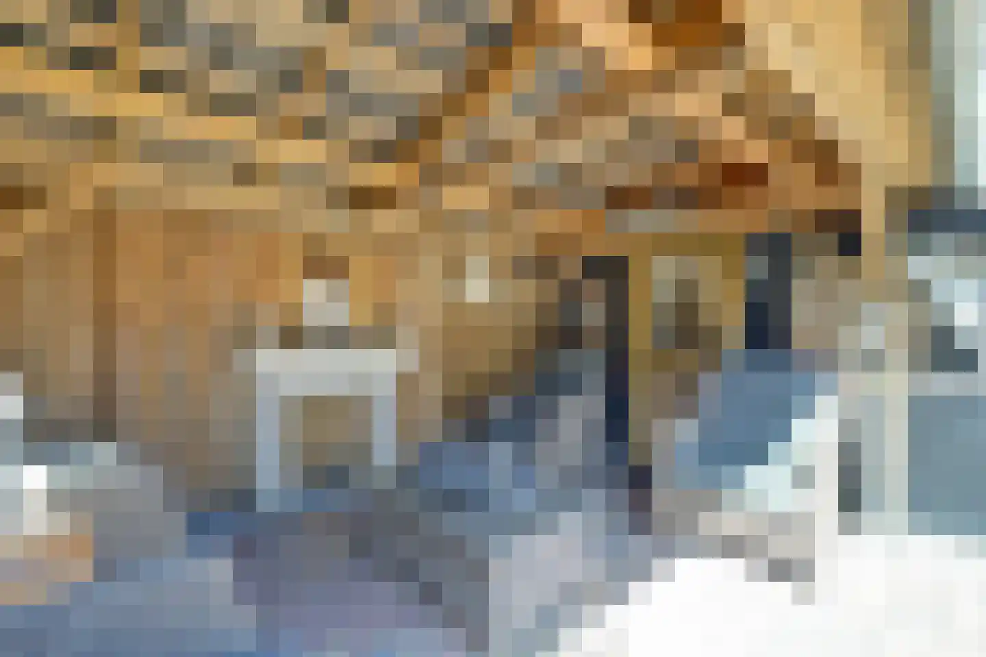 Oeverkamp 7 Bemmel thumbnail 46