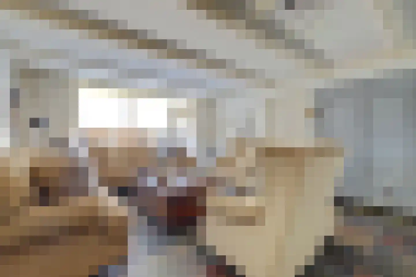 Oeverkamp 7 Bemmel thumbnail 6