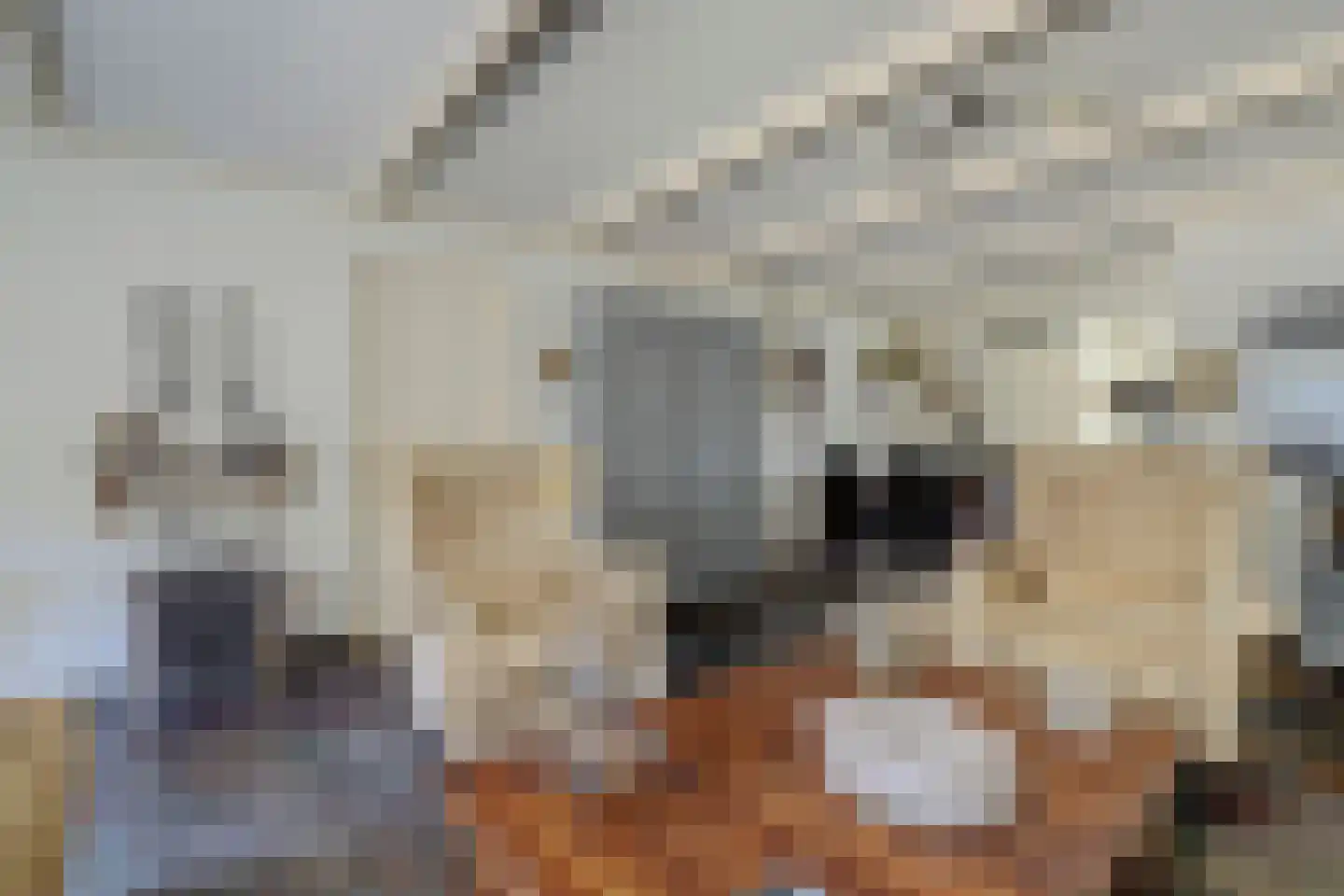 Oeverkamp 7 Bemmel thumbnail 7