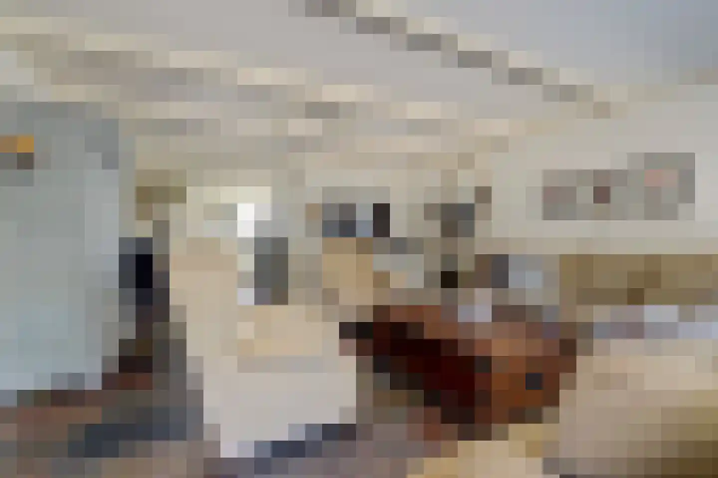 Oeverkamp 7 Bemmel thumbnail 8