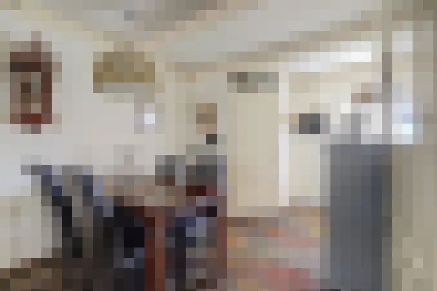Oeverkamp 7 Bemmel thumbnail 9
