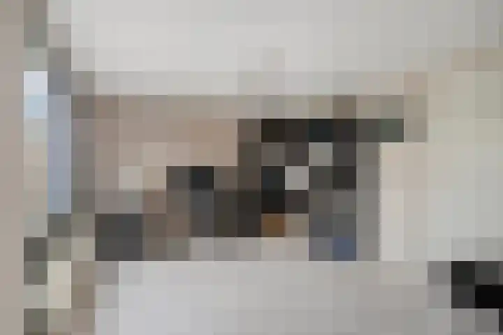 Oeverkruid 11 Marknesse thumbnail 14