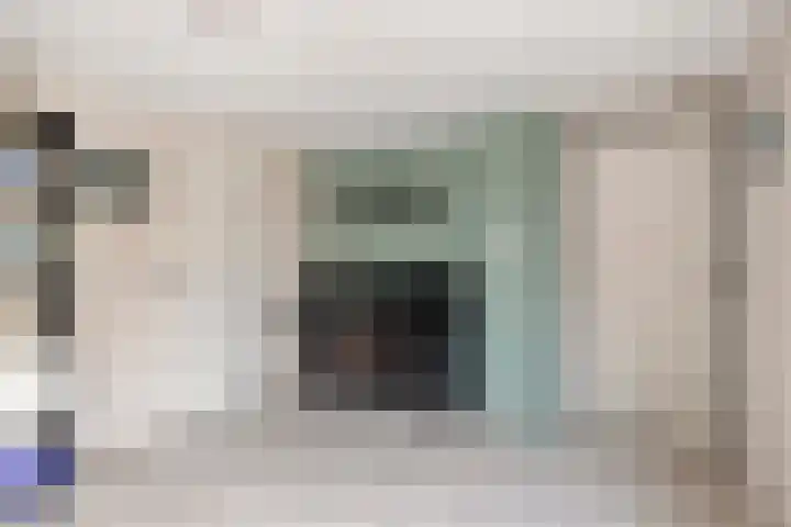 Oeverkruid 11 Marknesse thumbnail 15