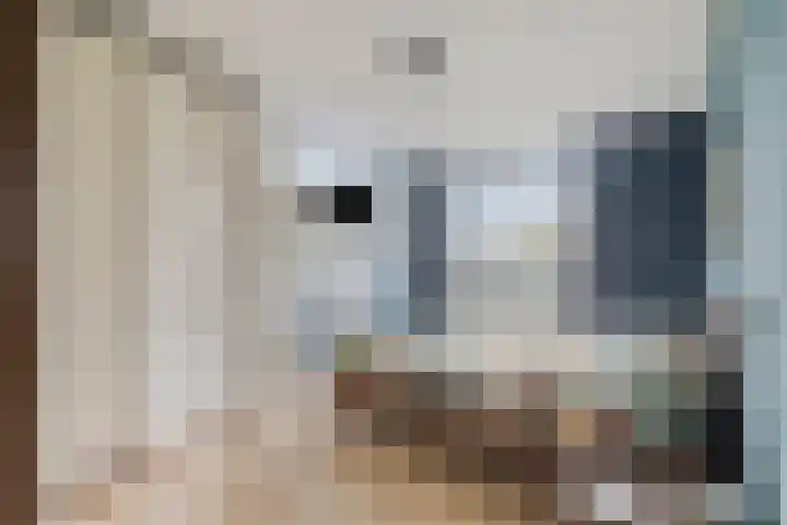 Oeverkruid 11 Marknesse thumbnail 18