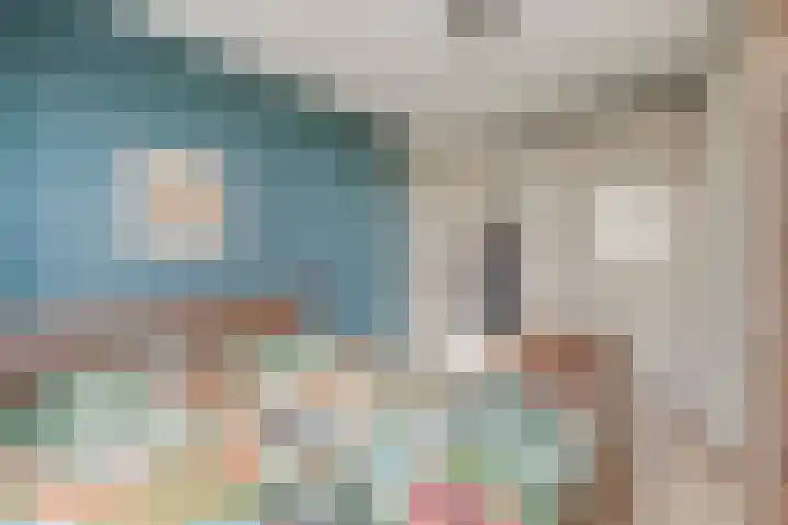 Oeverkruid 11 Marknesse thumbnail 19
