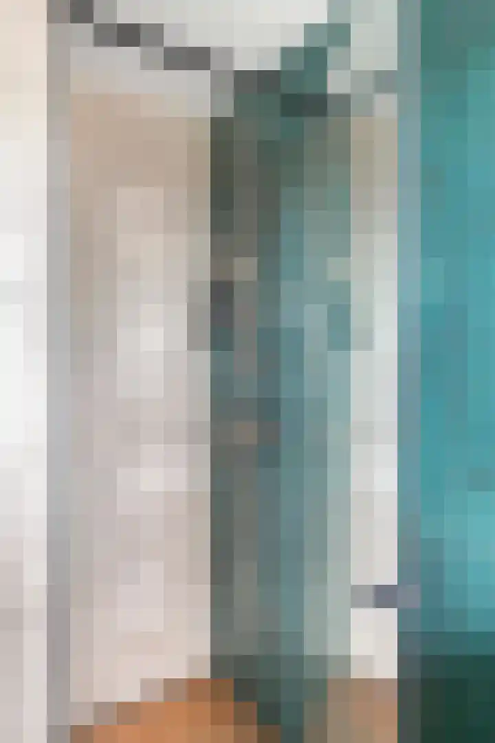 Oeverkruid 11 Marknesse thumbnail 22