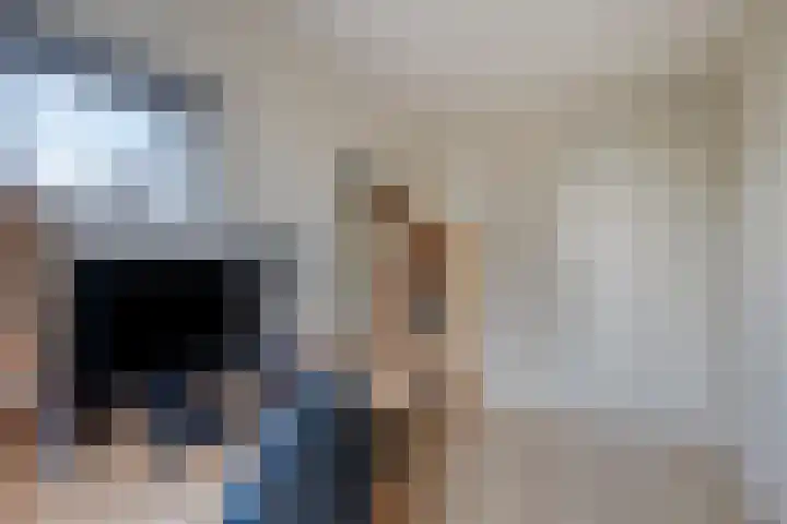 Oeverkruid 11 Marknesse thumbnail 26