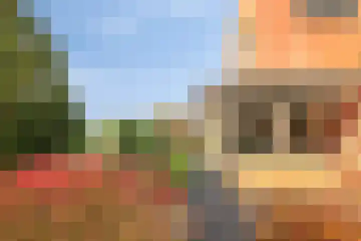 Oeverkruid 11 Marknesse thumbnail 32