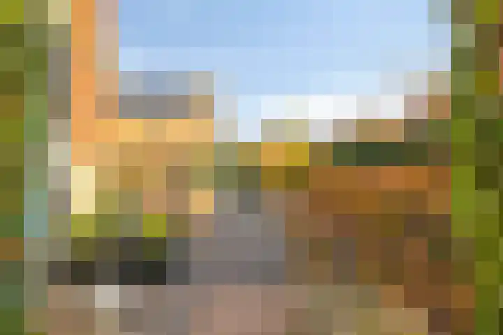 Oeverkruid 11 Marknesse thumbnail 33