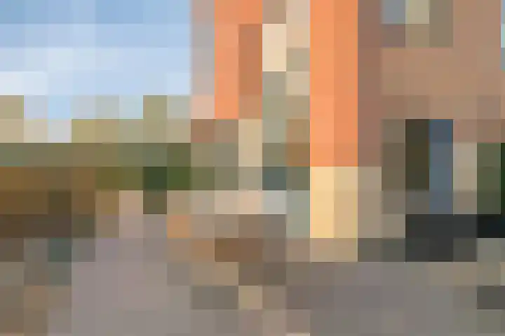 Oeverkruid 11 Marknesse thumbnail 34