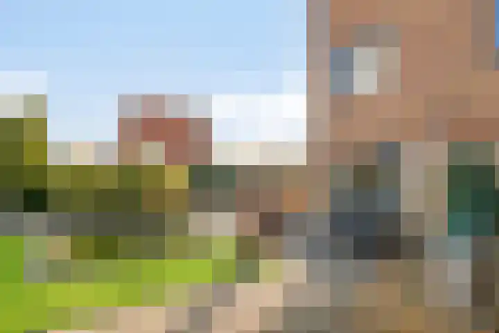Oeverkruid 11 Marknesse thumbnail 35