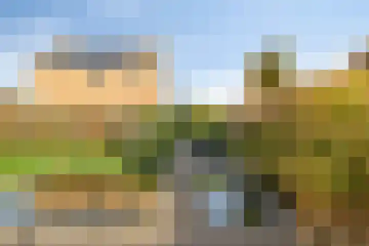 Oeverkruid 11 Marknesse thumbnail 36