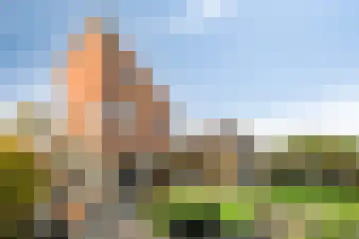 Oeverkruid 11 Marknesse thumbnail 37