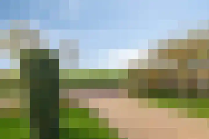 Oeverkruid 11 Marknesse thumbnail 38