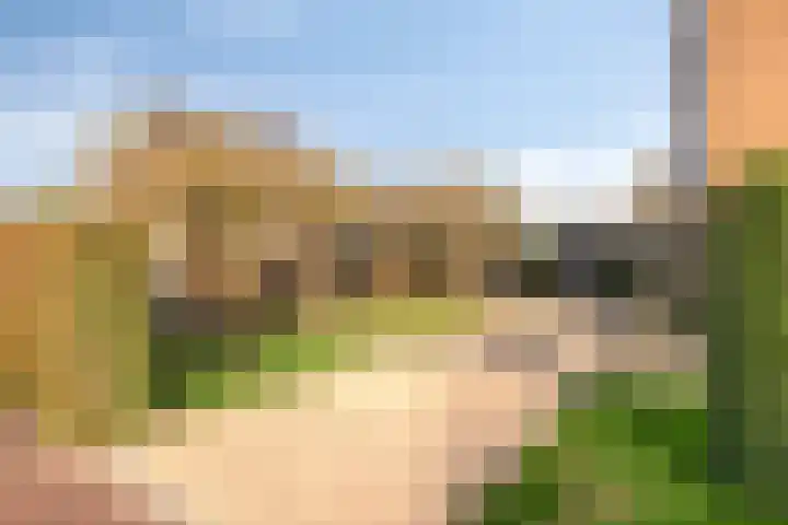 Oeverkruid 11 Marknesse thumbnail 39
