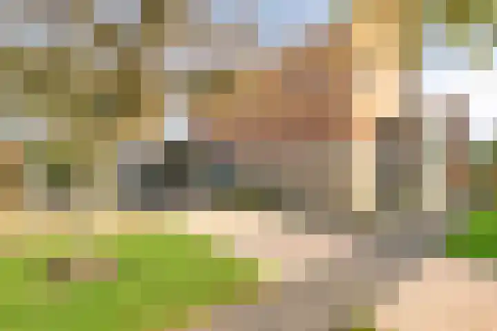 Oeverkruid 11 Marknesse thumbnail 40