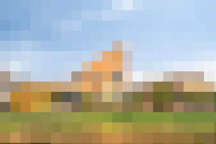 Oeverkruid 11 Marknesse thumbnail 41