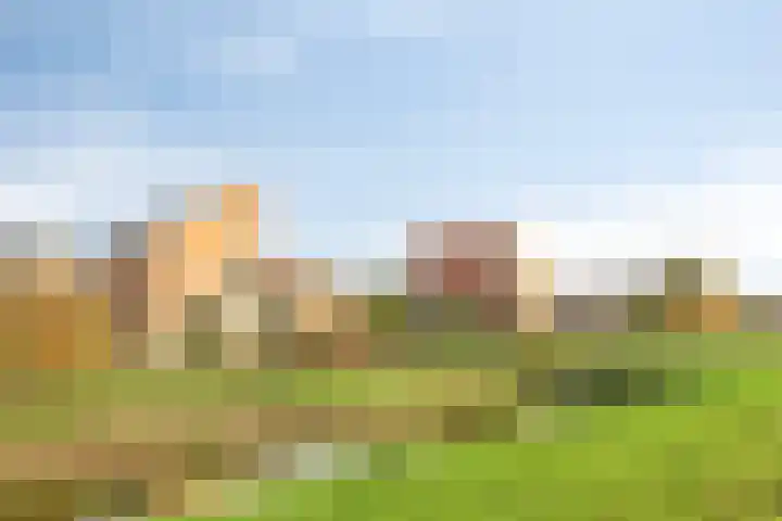 Oeverkruid 11 Marknesse thumbnail 42