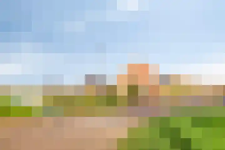 Oeverkruid 11 Marknesse thumbnail 43