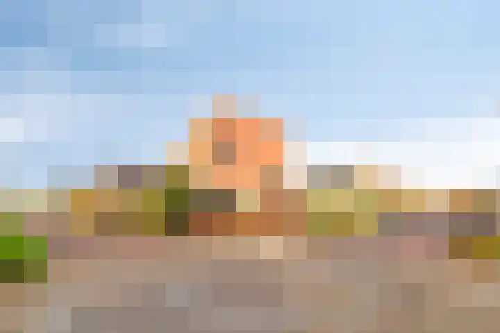 Oeverkruid 11 Marknesse thumbnail 44