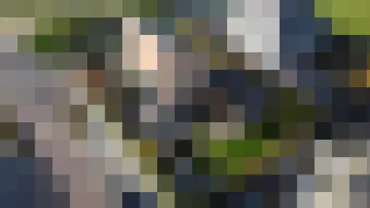 Oeverkruid 11 Marknesse thumbnail 47