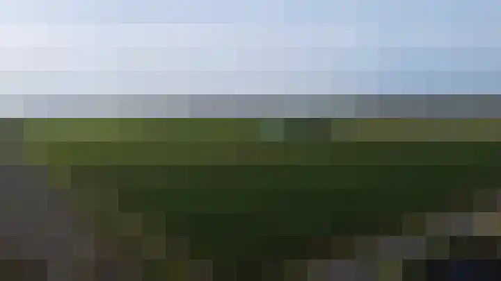 Oeverkruid 11 Marknesse thumbnail 48