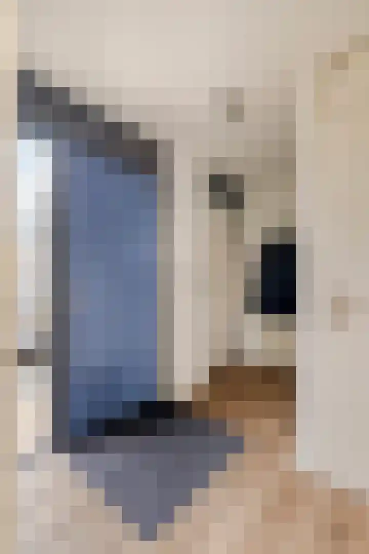 Oeverkruid 11 Marknesse thumbnail 5