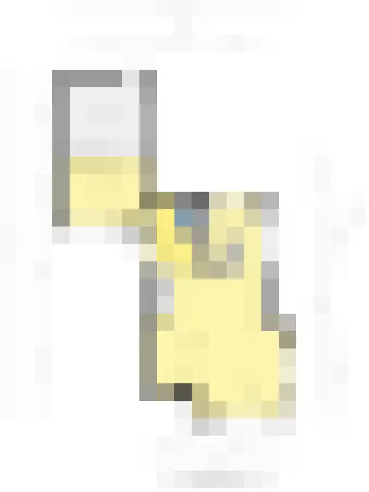 Oeverkruid 11 Marknesse thumbnail 50
