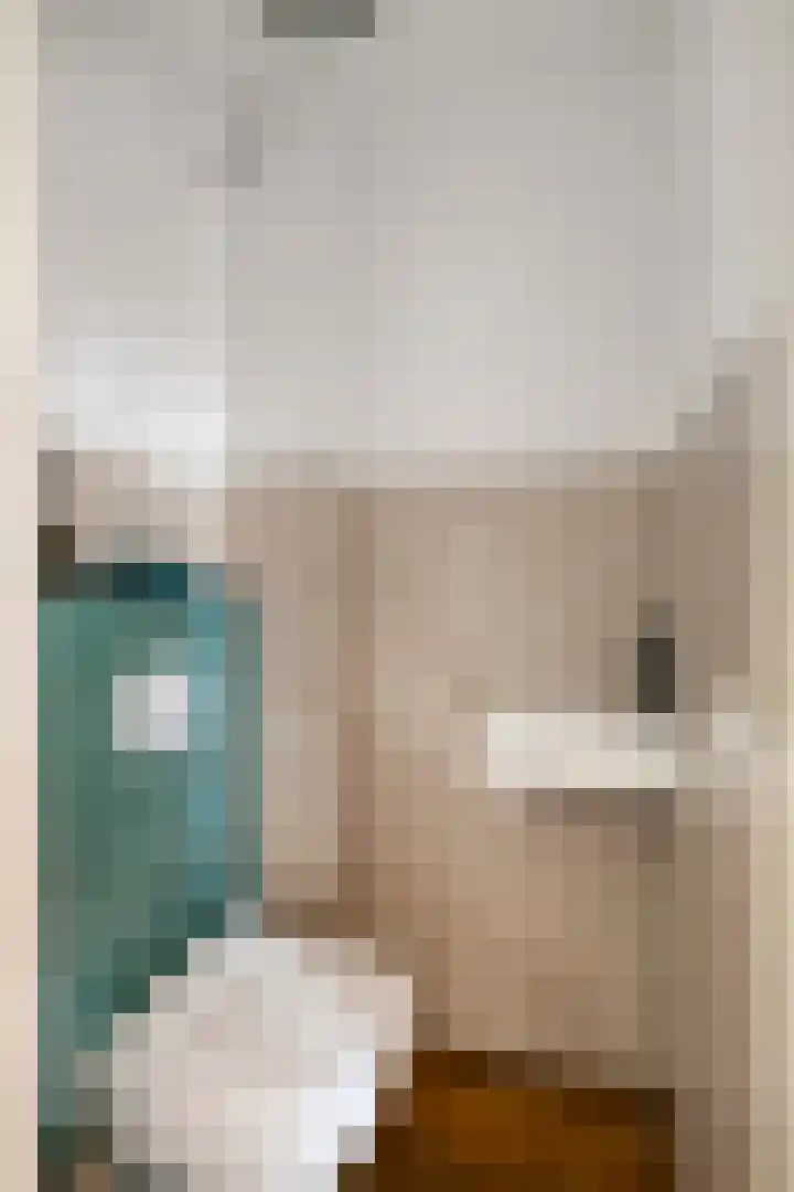 Oeverkruid 11 Marknesse thumbnail 6