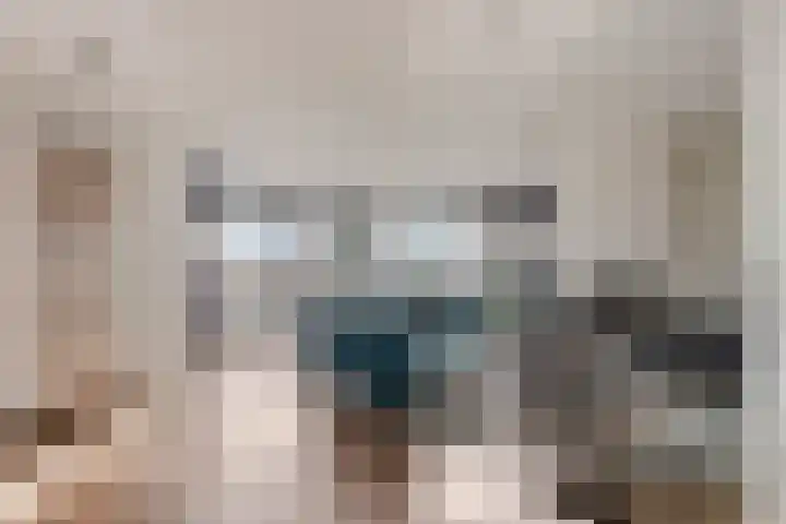 Oeverkruid 11 Marknesse thumbnail 7