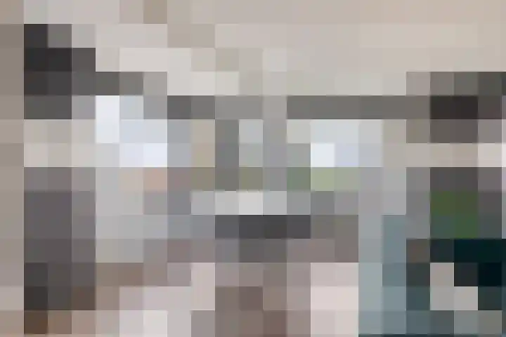 Oeverkruid 11 Marknesse thumbnail 8
