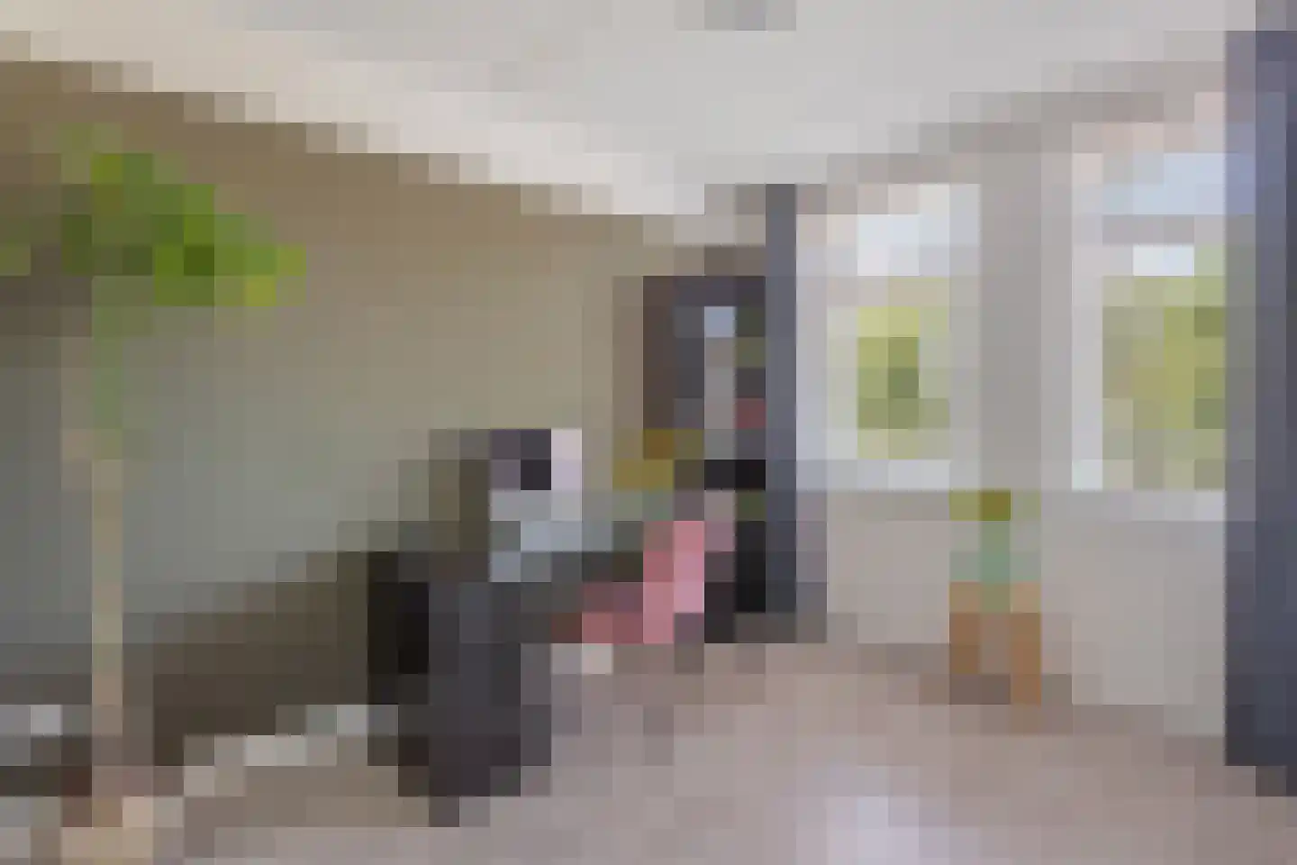 Oeverlaan 23 Borne thumbnail 14