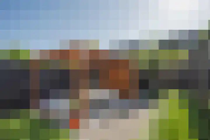 Oeverlaan 31 Borne thumbnail 32