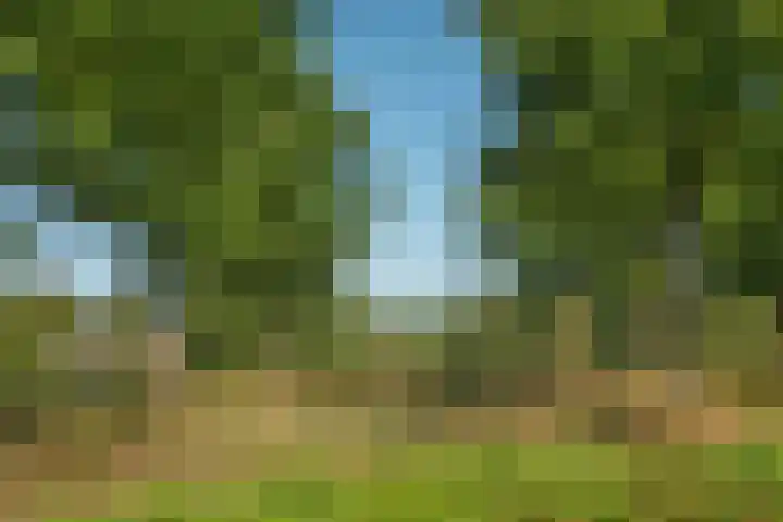 Oeverlaan 31 Borne thumbnail 37
