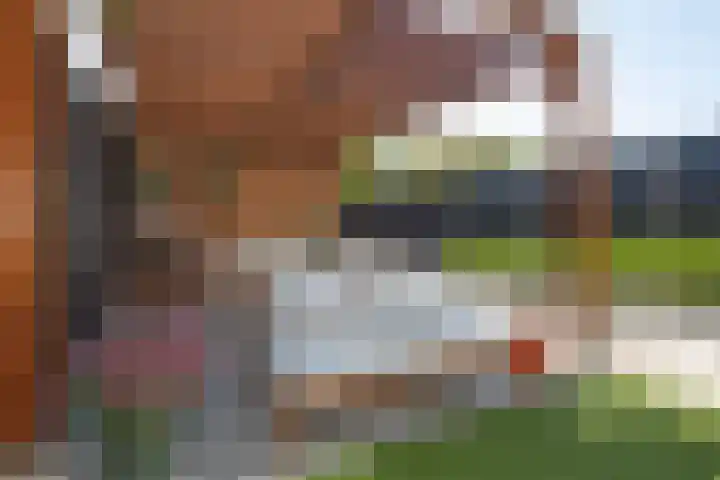 Oeverlaan 31 Borne thumbnail 4