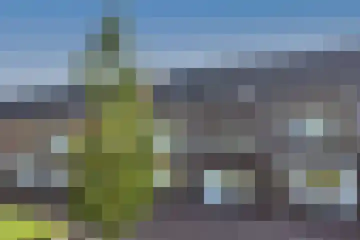 Oeverlaan 31 Borne thumbnail 5