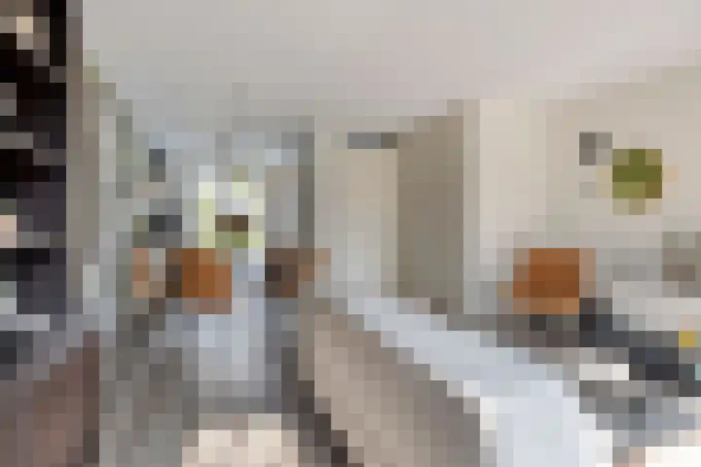 Oeverlaan 43 Borne thumbnail 13