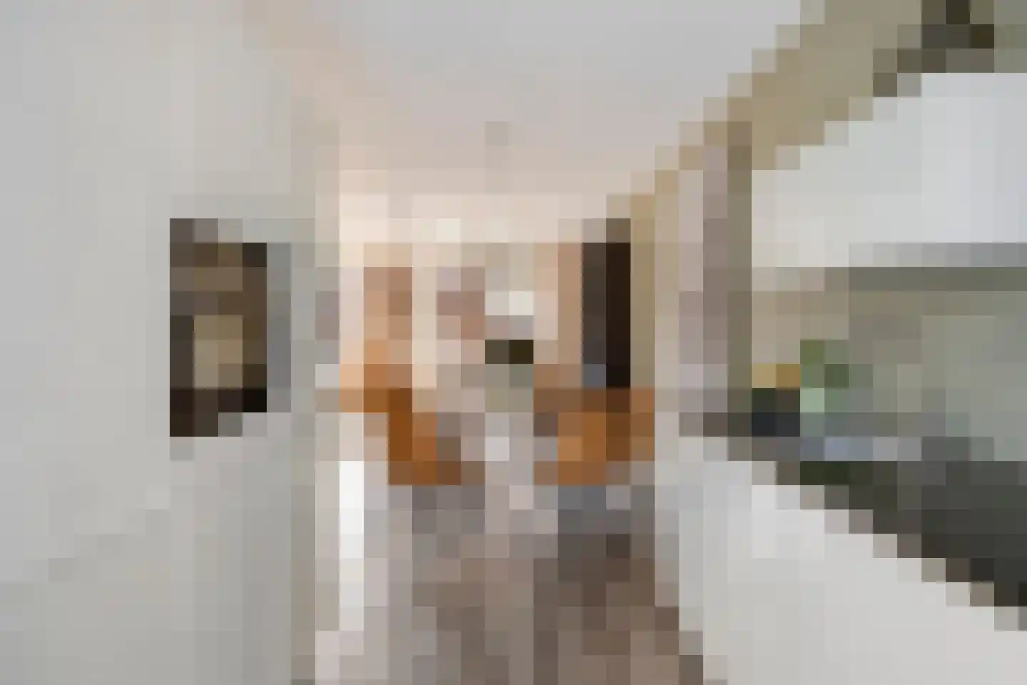 Oeverlaan 43 Borne thumbnail 16