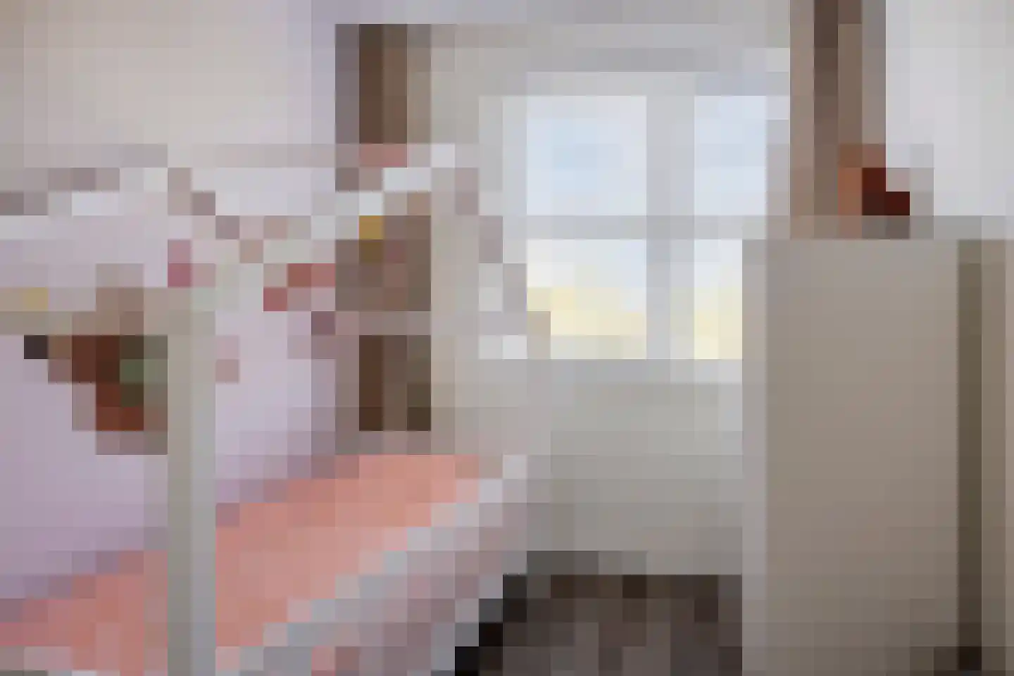 Oeverlaan 43 Borne thumbnail 22