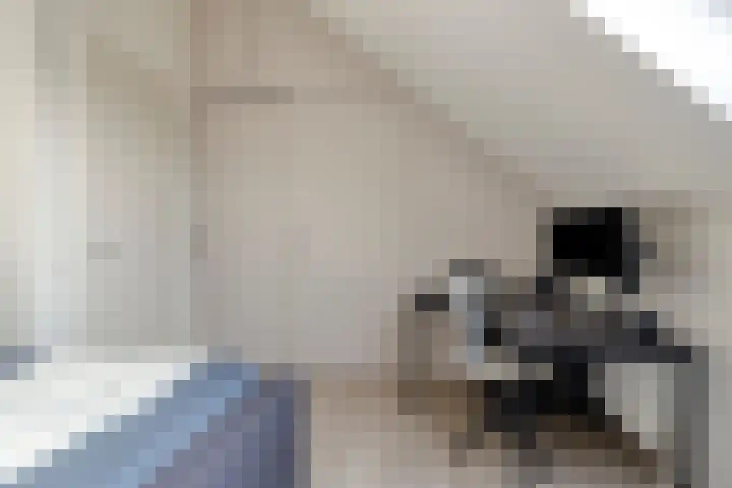 Oeverlaan 43 Borne thumbnail 27