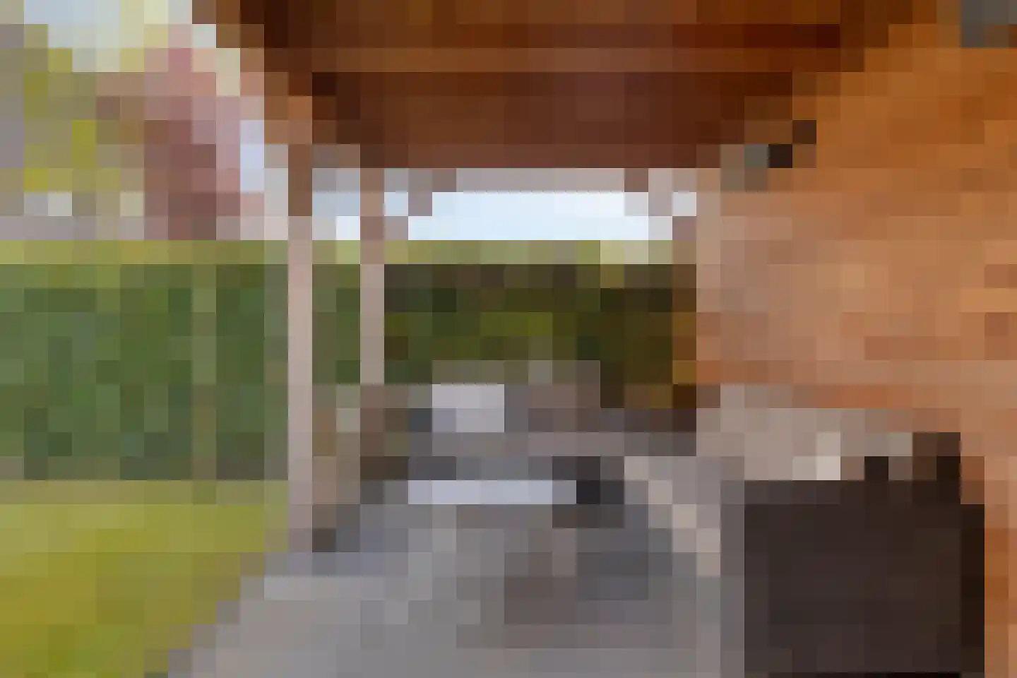 Oeverlaan 43 Borne thumbnail 29