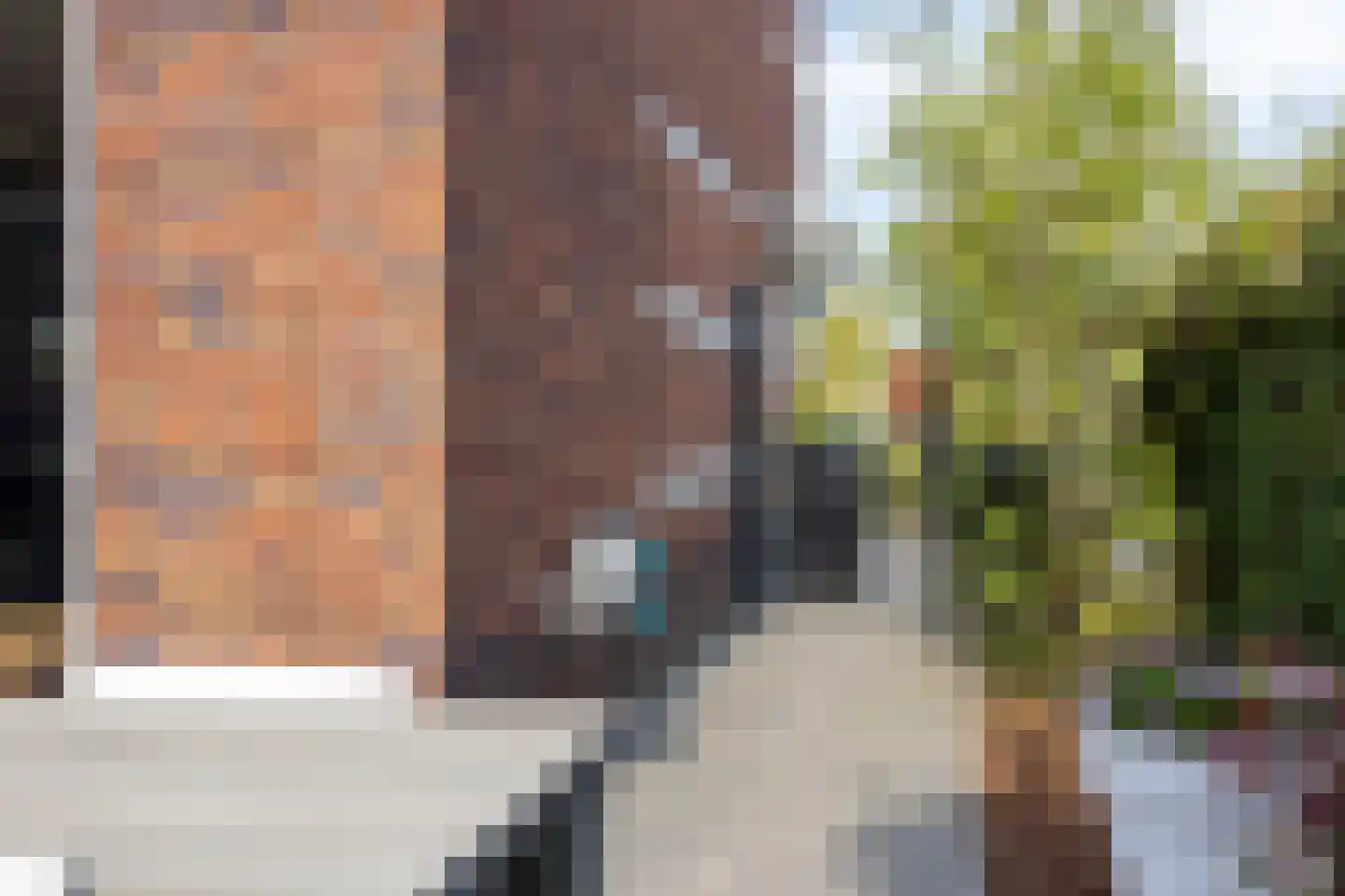 Oeverlaan 43 Borne thumbnail 30