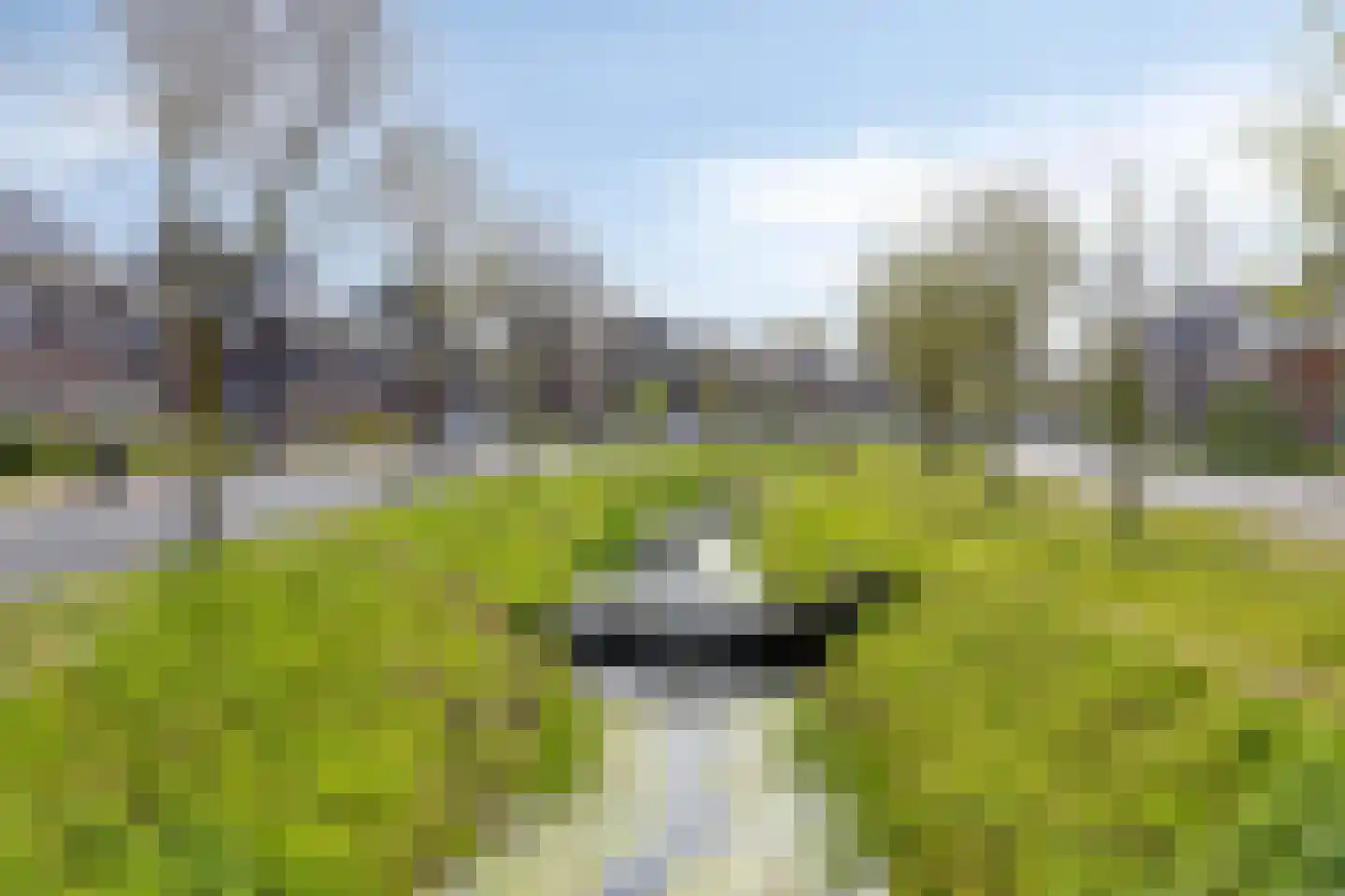 Oeverlaan 43 Borne thumbnail 33