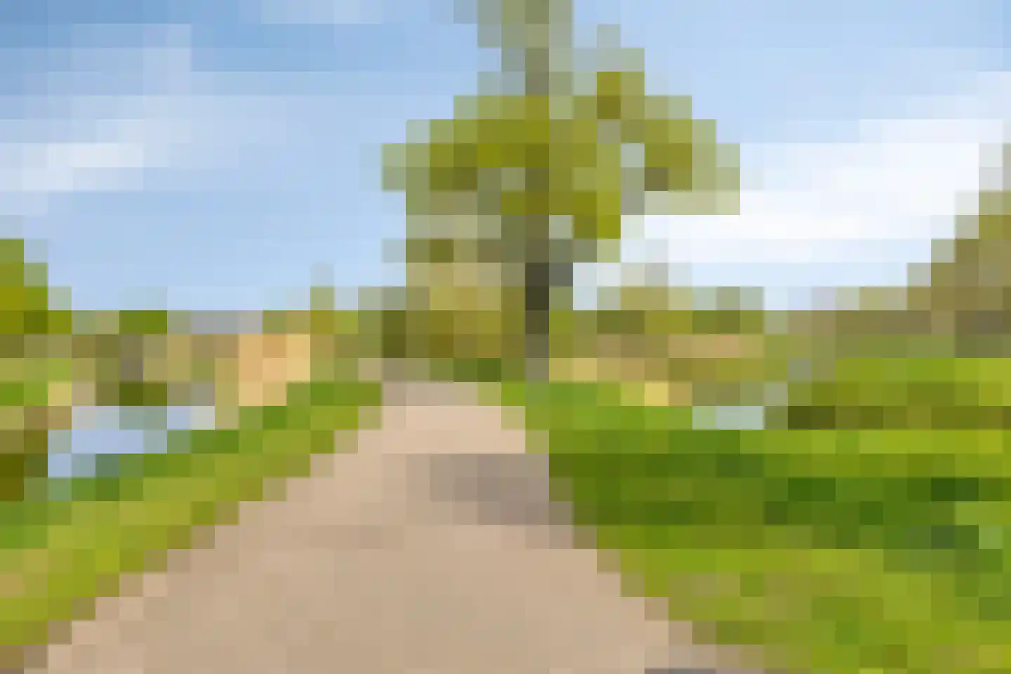 Oeverlaan 43 Borne thumbnail 34