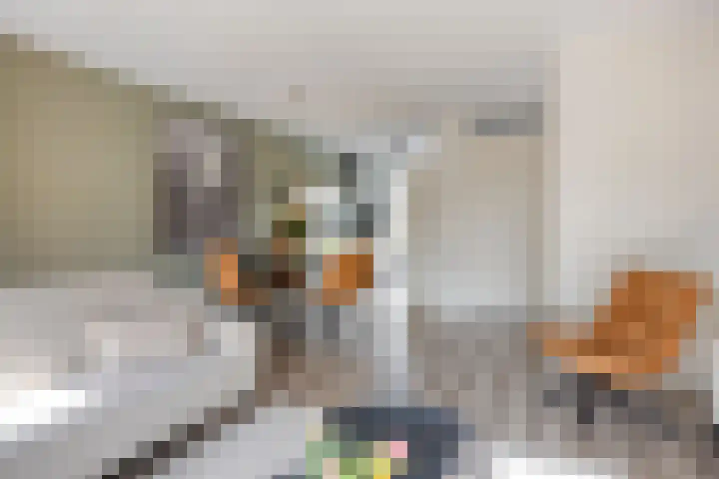 Oeverlaan 43 Borne thumbnail 6