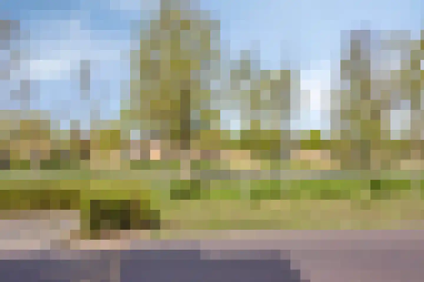 Oeverlaan 43 Borne thumbnail 9